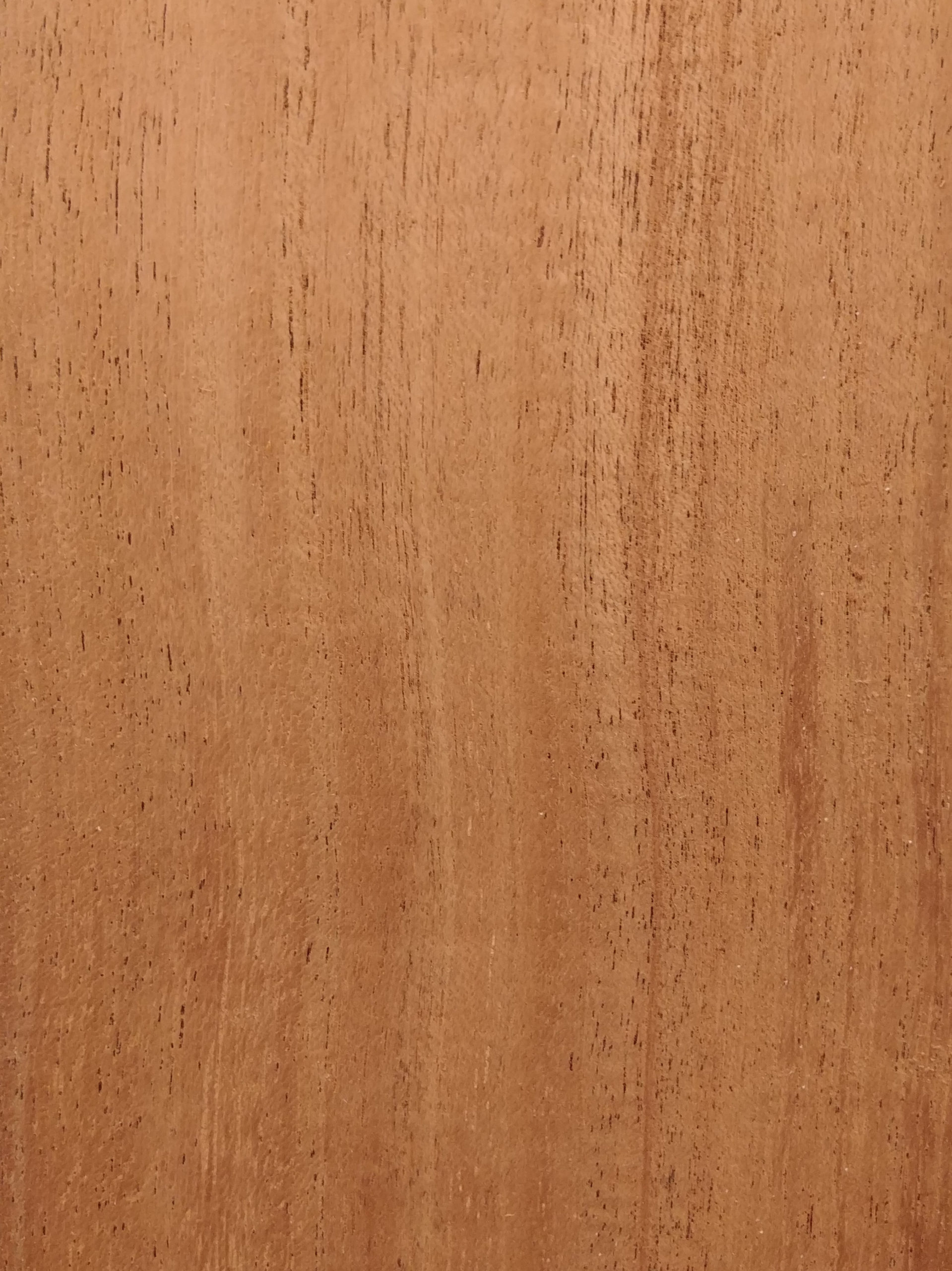 African Mahogany