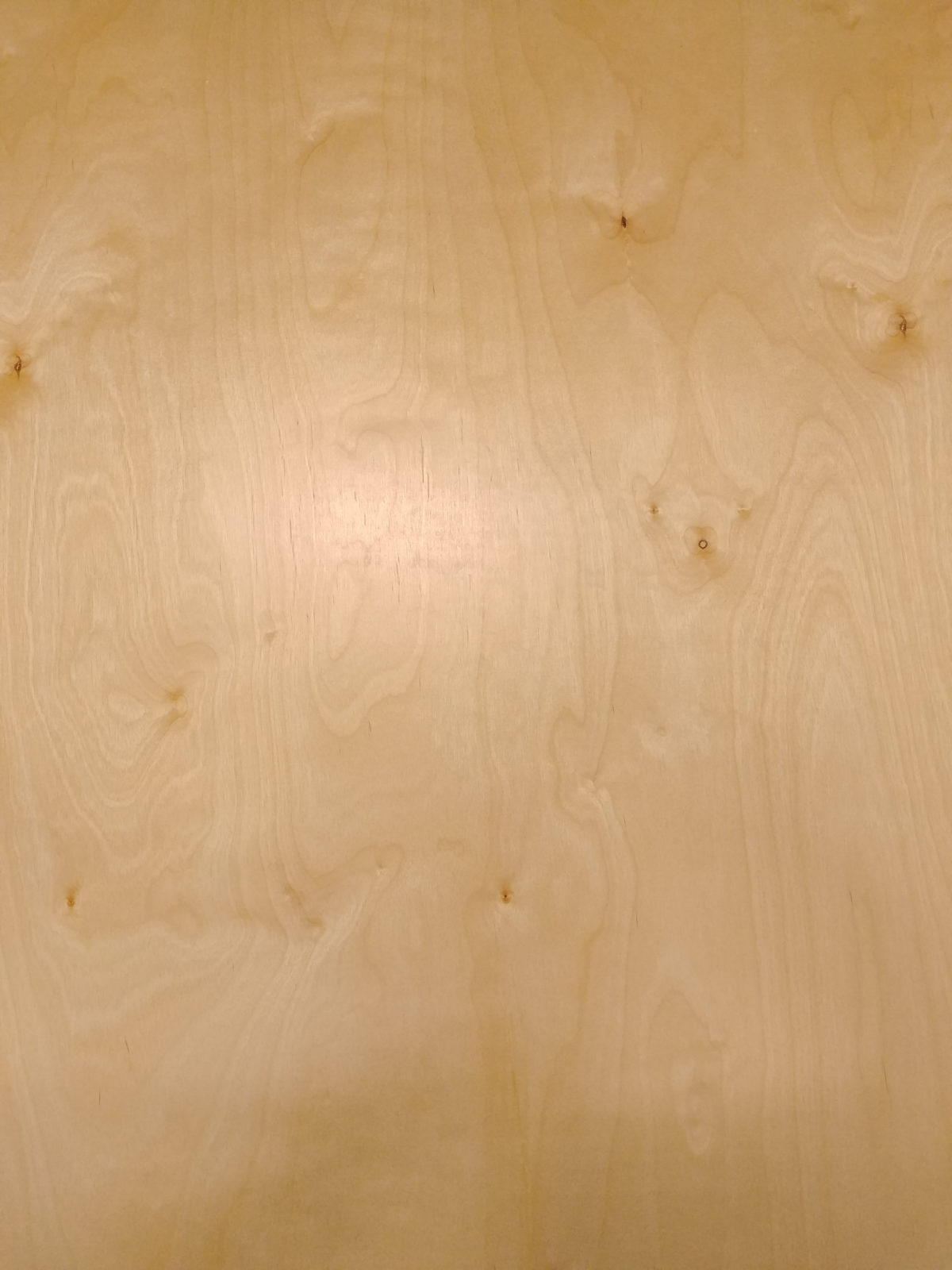 Prefinished Birch Wood Shed