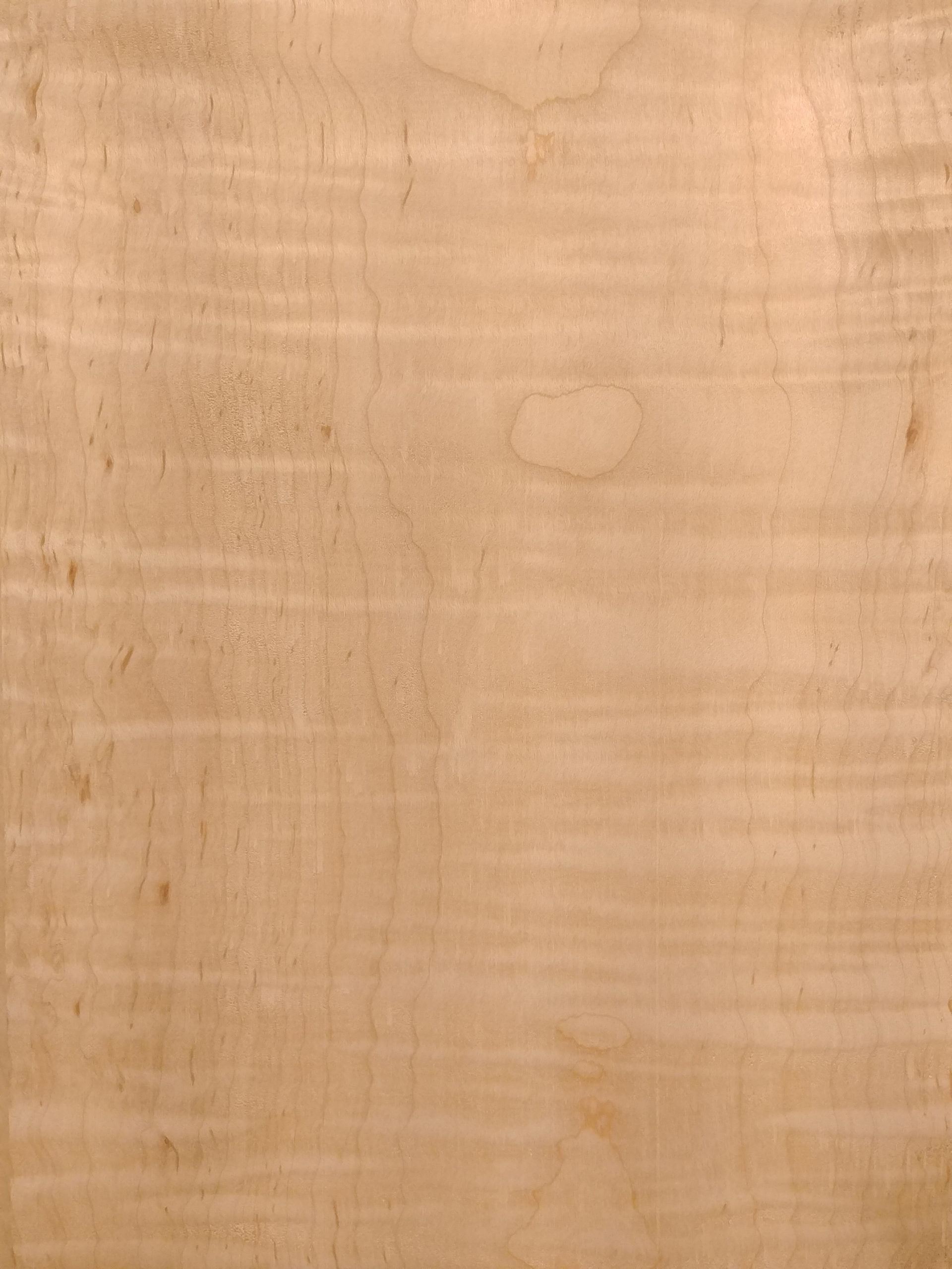Curly Soft Maple